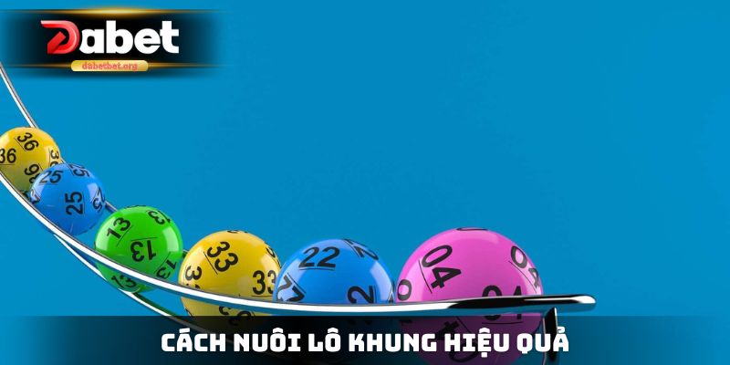 Cách nuôi lô khung hiệu quả