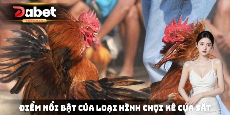 Điểm nổi bật của loại hình chọi kê cựa sắt