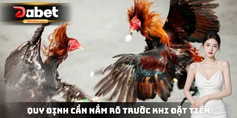 Quy định cần nắm rõ trước khi đặt tiền