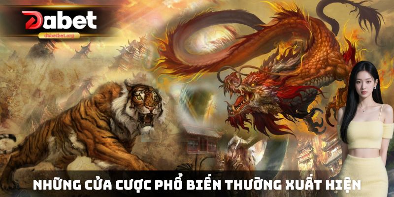 Những cửa cược phổ biến thường xuyên xuất hiện tại Dragon Tiger