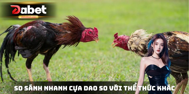 So sánh nhanh cựa dao so với thể thức thi đấu khác