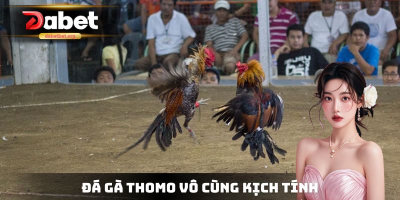 Thomo chuyên có những pha vô cùng kịch tính