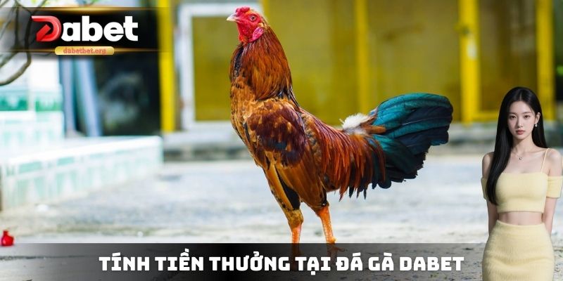Tính tiền thưởng tại đá gà DABET