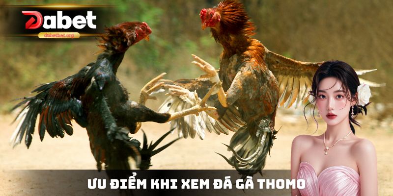 Ưu điểm khi lựa chọn xem Thomo trên trực tuyến